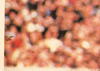 1980 Scanlens VFL #51 Ken Fletcher Back